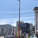 청초수물회앤섭국 이미지