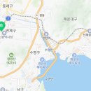 사단법인 동부 유기동물보호협회 이미지