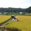 2015년, 친구네농장 쌀농사시스템을 확 바꾸다! 이미지
