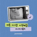 세종뮤직월드(주) | 세종 아기랑 가볼만한곳｜미니피그월드 동물체험 내돈내산 솔직후기