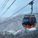 공단카프라자 | 총정리 발왕산 케이블카 CCTV 확인 방법 및 등산코스 포함