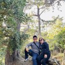 소나무 행정사 사무소 이미지