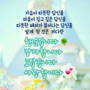핑크스킨