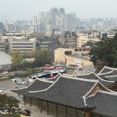 더호텔비즈니스 | 만족스러웠던 서울신라호텔 비즈니스디럭스룸 / 더파크뷰조식 후기.ᐟ (셔틀정보포함)