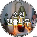 캔들나무순천