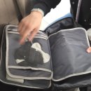 가음로-1 | [창원 예복 대여 전문점] 베네테일러 촬영용 예복 대여 후기