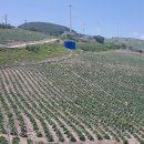 만장하우스 이미지