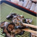 해물먹거리세상 | 양양가볼만한곳 기사문해변맛집 싱싱한 조개구이가 맛있는 핫플 어촌계 해물포차