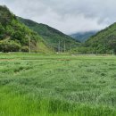 산정마을 농로 이미지