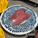 갤러리아안경원 | 둔산동 갤러리아 스시아지 회전초밥 맛집 (한화 준우승 할인)