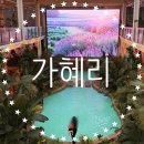 대곶면 | 김포 대곶면 대형카페, 가혜리 내돈내산 방문후기