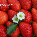 잡학다식 이미지