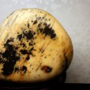 여주-0510 이미지