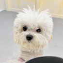 바우스쿨 이미지