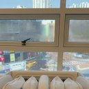 셀루닉하우스 인천점 이미지