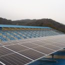 정우태양광발전소 이미지