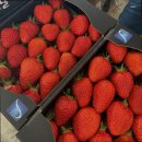 다혜농장 이미지