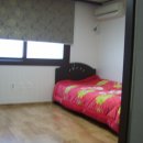 농수산물도매시장 정문 건너편 이미지