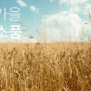 신   촌 이미지