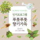 푸릇푸릇 이미지