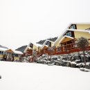 별빛나라펜션 이미지