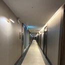 호텔오이도 | 오이도 야외 자쿠지 있는 하운드호텔 거북섬 스위트 스파 후기