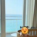 전때리는집 | 강릉 씨마크호텔 15개월 아기랑: 뼈때리는 내돈내산 솔직 후기