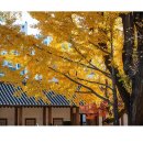 명륜당