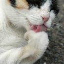 하여간
