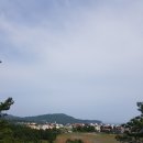 다육이풍경 Daum카페
