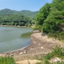 동항소류지 | (낚시여행)무료낚시가능한 안성저수지 동항저수지 천덕제 배스낚시 후기