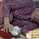 은비농장 이미지