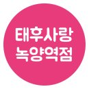 태후 사랑 이미지
