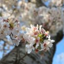 화순리 해수욕장 도로변 이미지