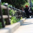 한국P.R