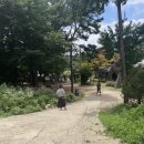훼릭스 실외수영장 | 서울 근교 고양시 캠핑장 야외 바비큐 고기 먹기! 훼릭스 숲속에서 그릴 (내 돈 내산) 아이랑 가기 좋은...