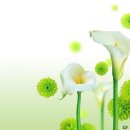 오늘 하루 운동 체력단련실 이미지