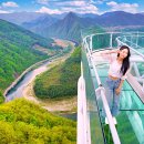 “보랏빛 물결이 산을 덮었어요”… 버들마편초와 집와이어 즐기는 나들이 명소 이미지