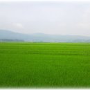 한마음목장 이미지