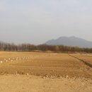 모란농장 이미지