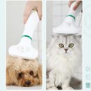 그루밍케이 이미지