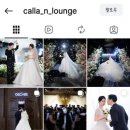 앤(N) | [본식스냅]칼라앤라운지(calla n lounge) 본식스냅 계약후기