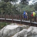 도원1리마을회관 이미지