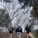 아이언짐1관 네이버블로그