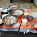 신춘하추동 이미지