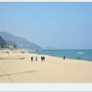 정동진역 이미지