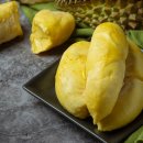 Durian-mangosteen 페어링은 건강에 도움이되며, 연구 결과는 이미지