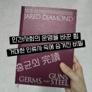 다오지 티스토리