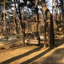 박달길 | [캠핑] 스노우피크 랜드락 프로 아이보리 첫 피칭 , 괴산 솔베이 1박 후기