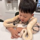 팀버렙타일 이미지